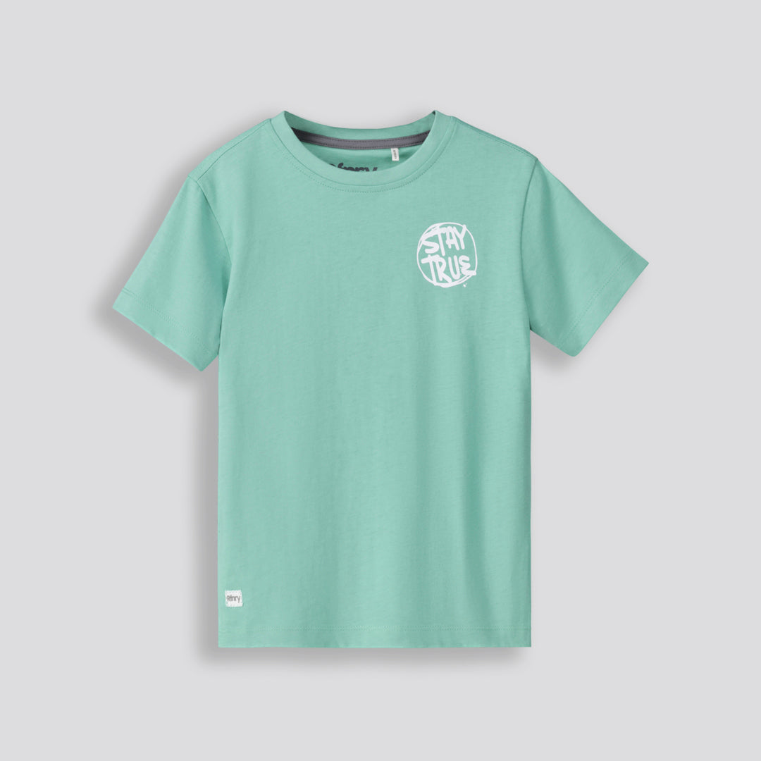 Boys Branded Tee _ 153326 _ Mint